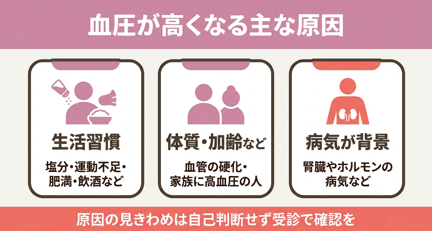 血圧が高くなる主な原因を「生活習慣」「体質・加齢など」「病気が背景」の3カードで整理した図解。生活習慣が多いこと、病気が隠れている場合もあることを視覚的に示し、原因の見きわめは自己判断せず受診で確認することを促します。