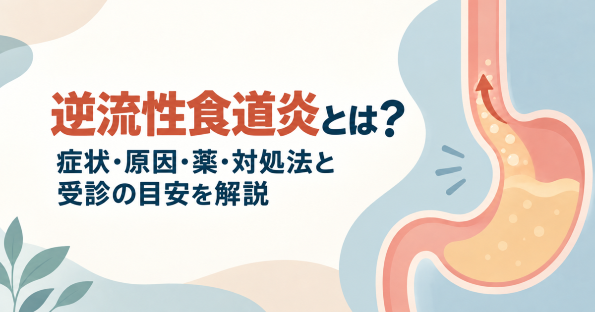 食道と胃の断面のイラストと、『逆流性食道炎とは?症状・原因・薬・対処法と受診の目安を解説』の文字
