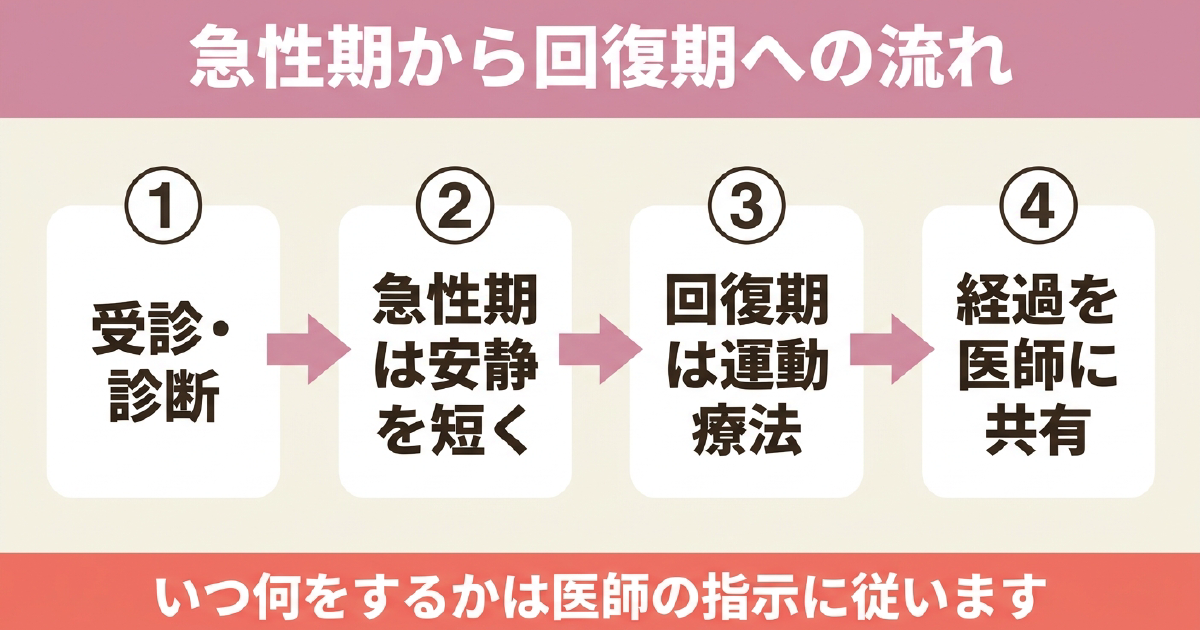 急性期と回復期のリハビリの目的と内容を比較した図