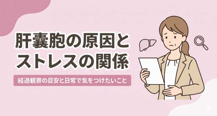 肝嚢胞の原因とストレスの関係 経過観察の目安と日常で気をつけたいこと