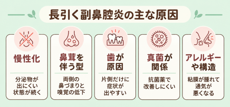 副鼻腔炎が長引く主な5つの原因と特徴