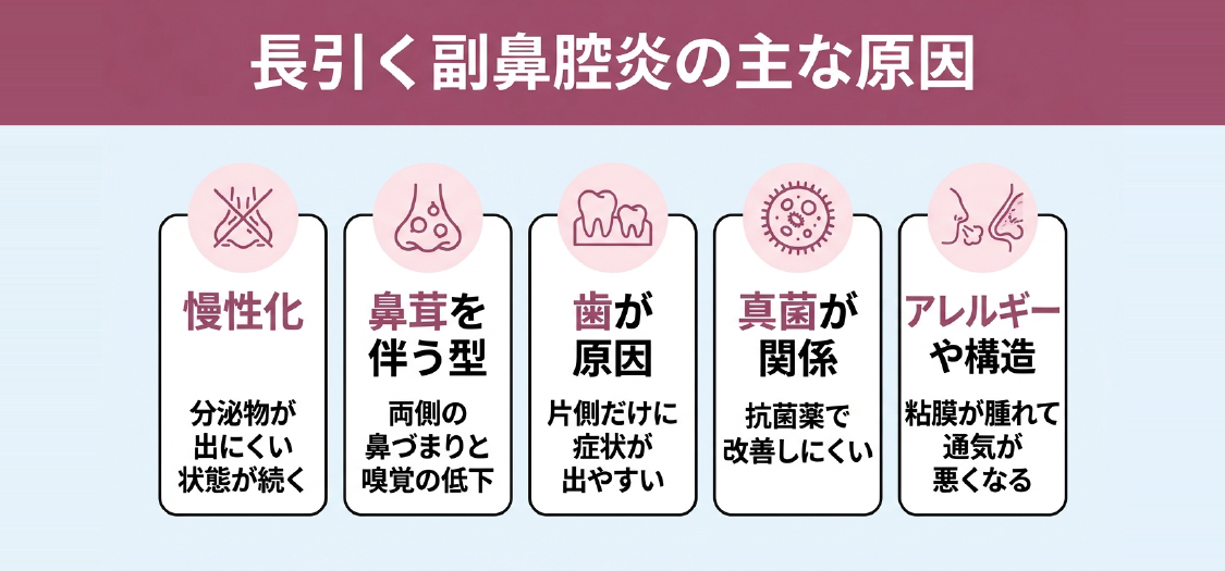 副鼻腔炎が長引く主な5つの原因と特徴